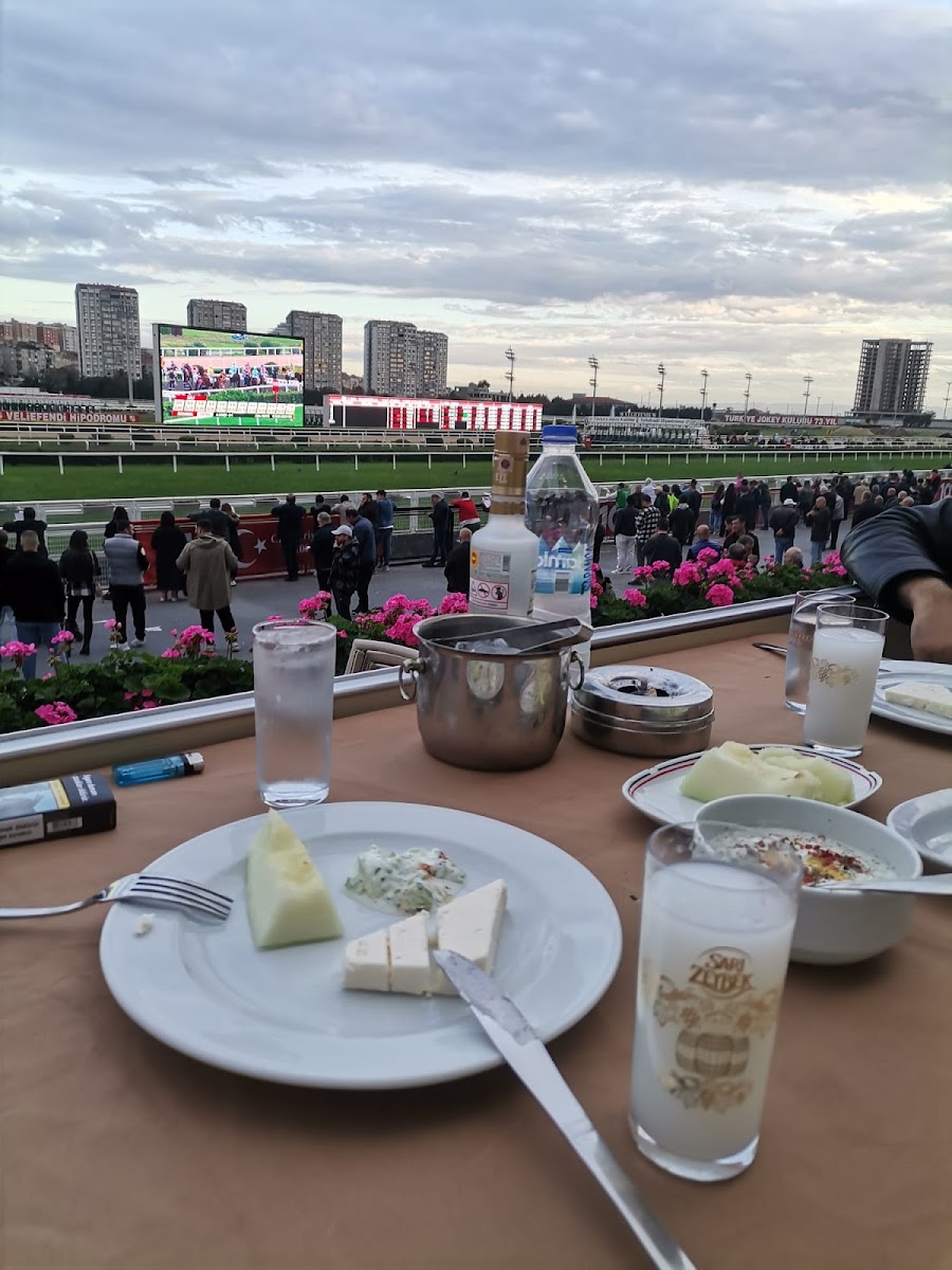 Türkiye Jokey Kulübü Veliefendi Hipodromu Vip Salonu-7